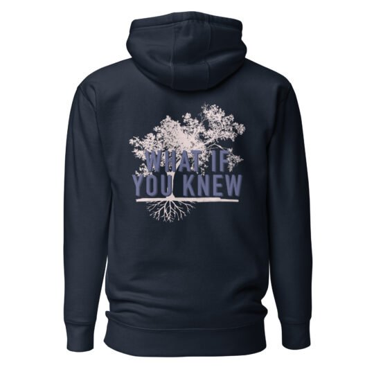 What If You Knew hoodie